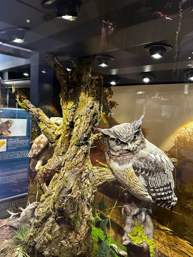 Adana Biyolojik Çeşitlilik Müzesi